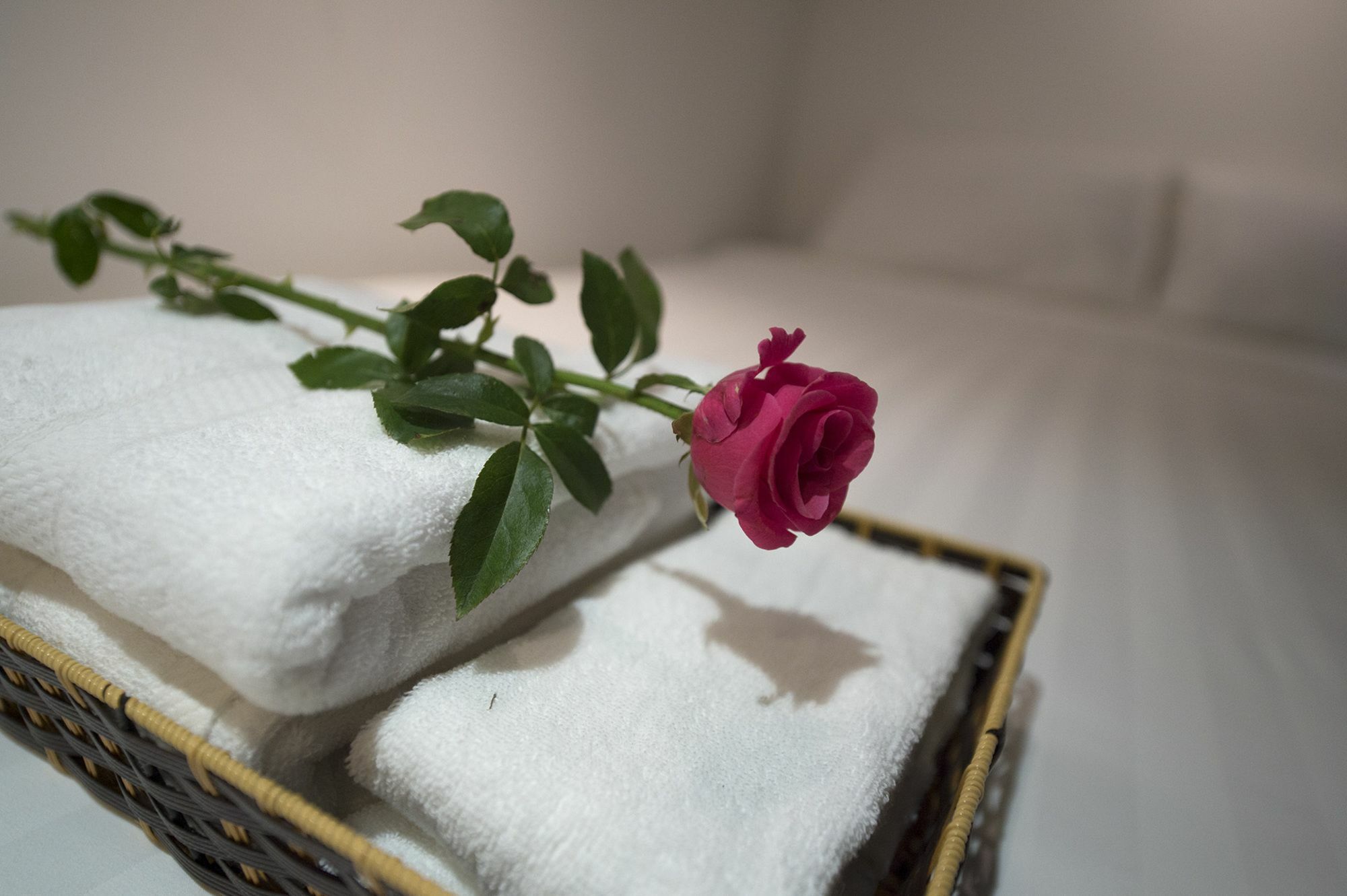 Harmony Homestay - Hanoi Homestay In Old Quarter Bagian luar foto